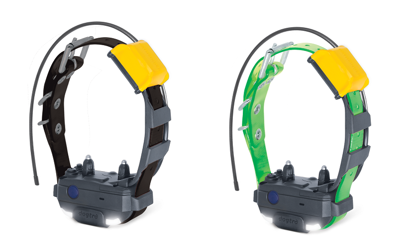 Pathfinder 2 Mini Extra Collar