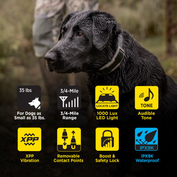 1902X 2-Dog Unit
