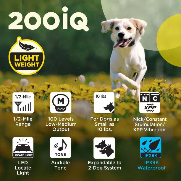 202iQ 2-Dog Unit
