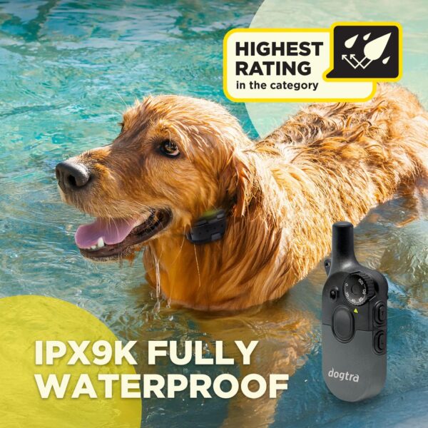 200iQ 1-Dog Unit