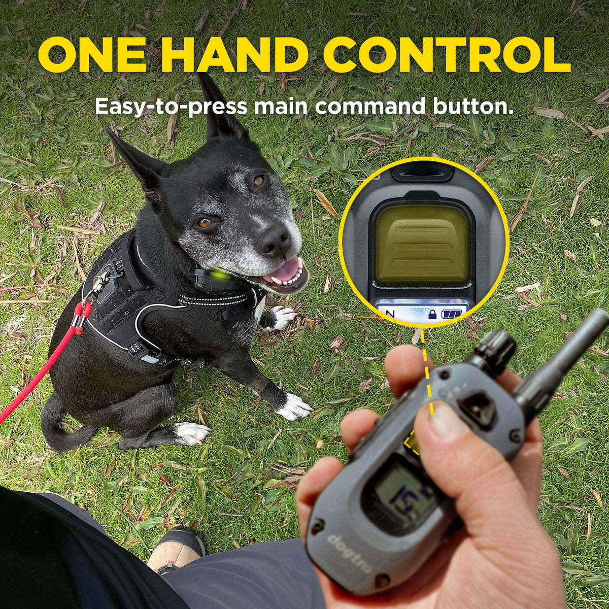 282X 2-Dog Unit