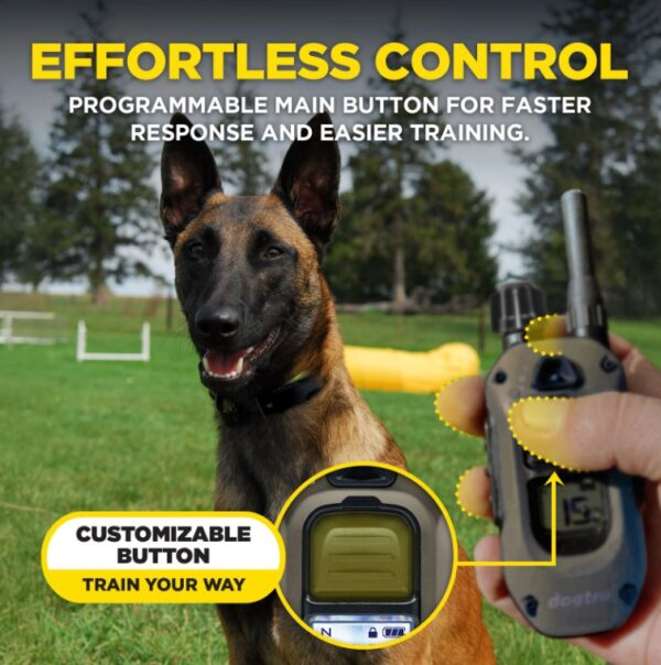 ARC-X Training Collar