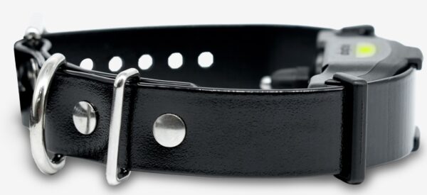 ARC-X Training Collar