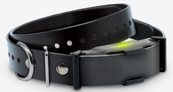 ARC-X Training Collar
