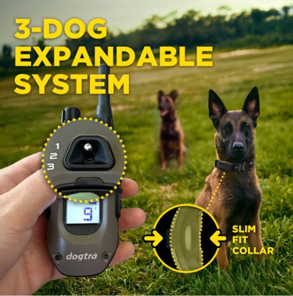 ARC-X Training Collar