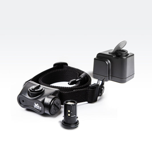 DT Systems Bark Boss Rechargeable No-Bark Training Collar