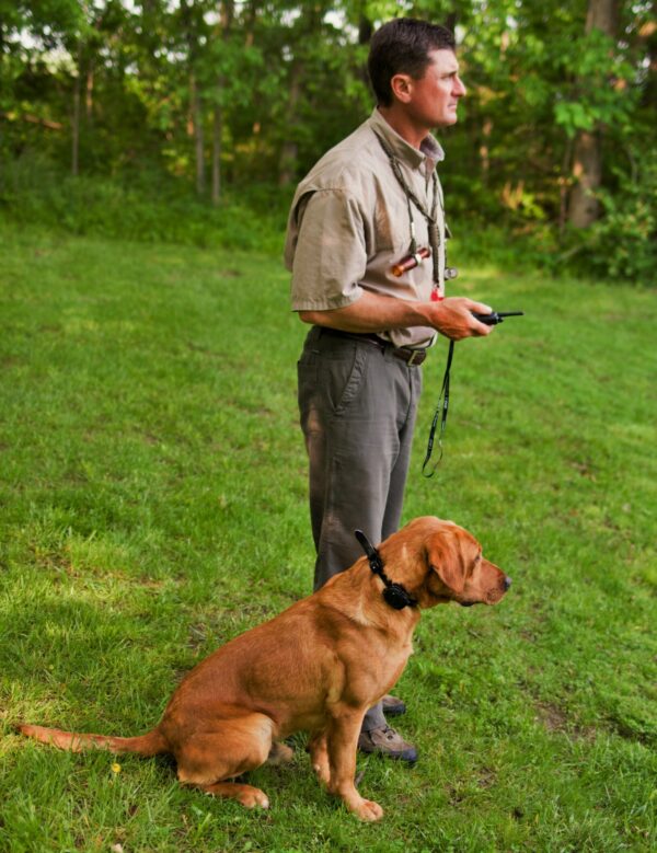 DT Systems H2O 1820 PLUS Remote Dog Training Collar