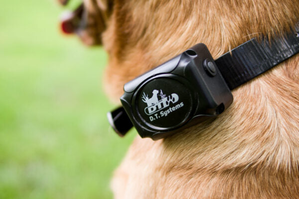 DT Systems H2O 1820 PLUS Remote Dog Training Collar
