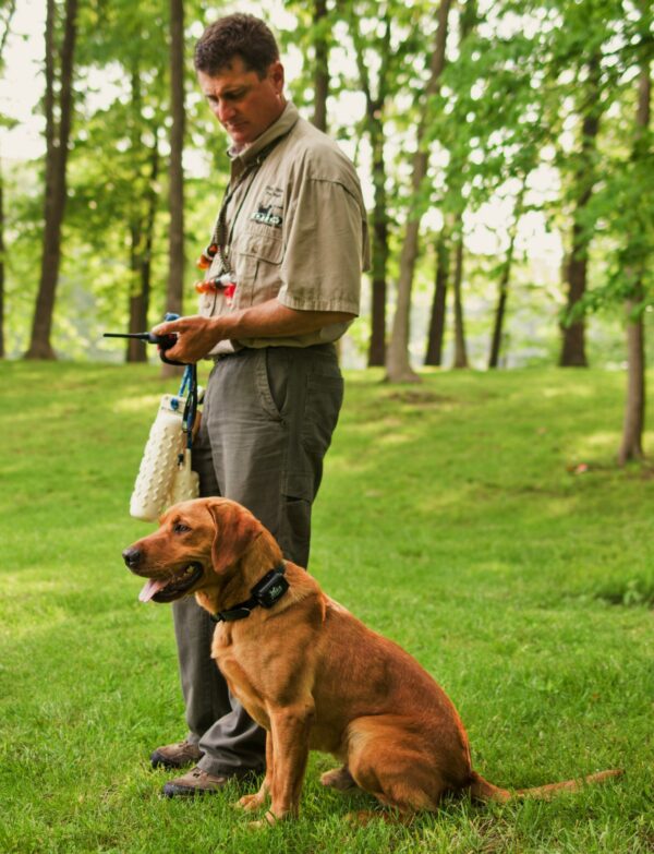 DT Systems H2O 1820 PLUS Remote Dog Training Collar