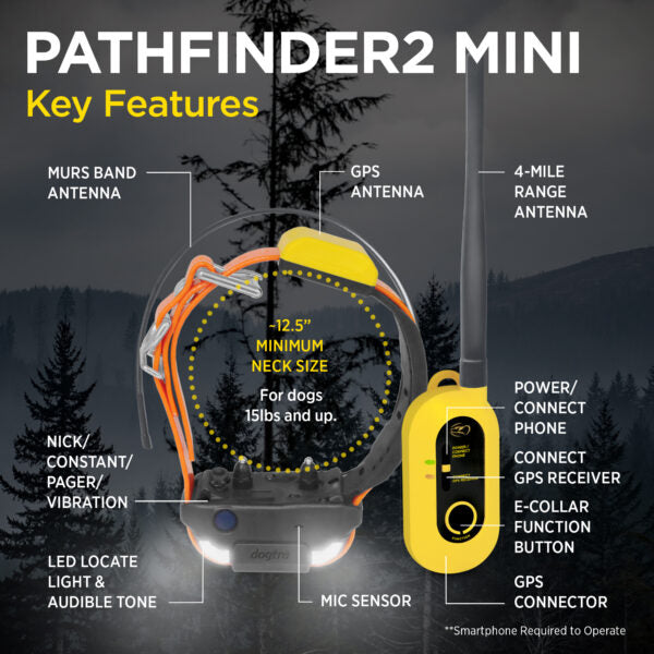 Pathfinder 2