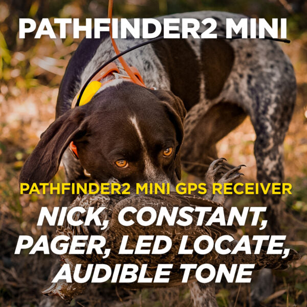 Pathfinder 2