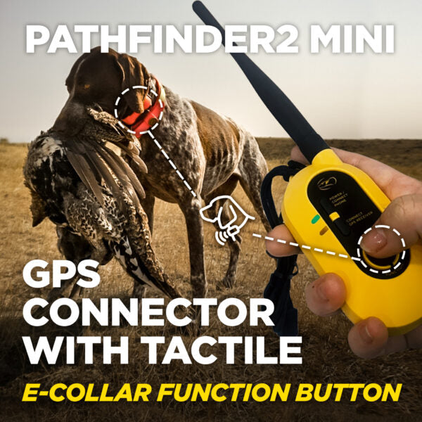 Pathfinder 2