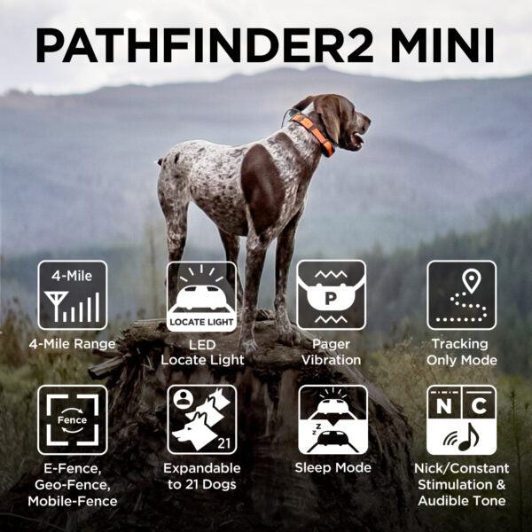 Pathfinder 2