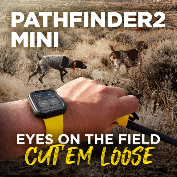 Pathfinder 2