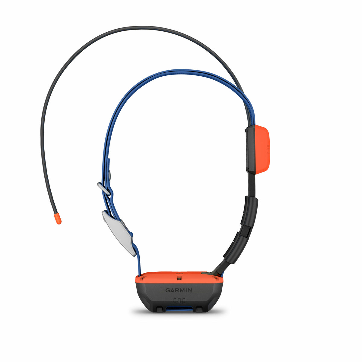 T 20 Dog Collar
