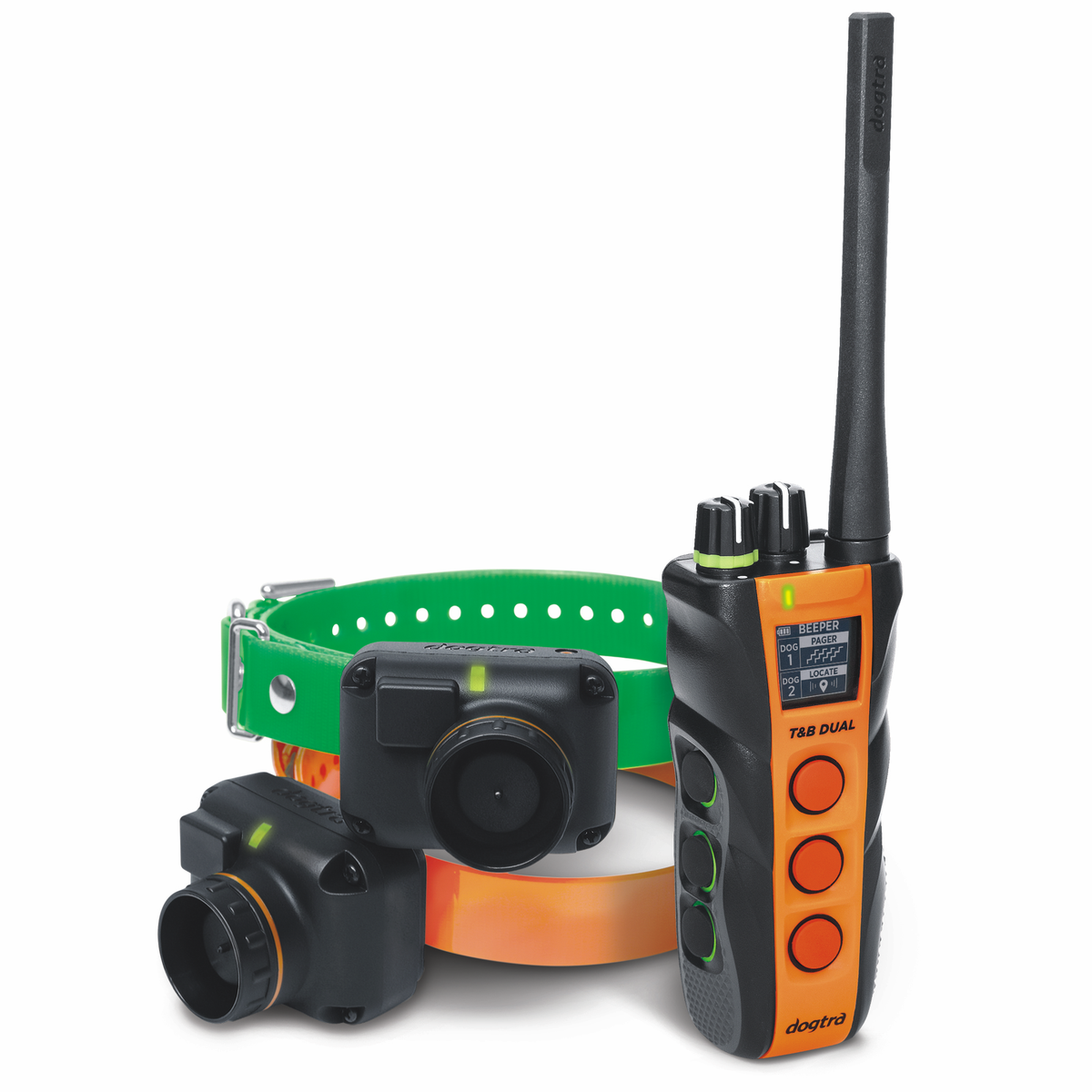 Dual Dial Train & Beep 2-dog
