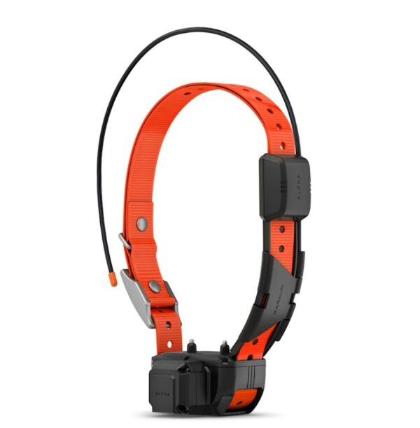 Garmin Alpha TT 25 Dog Collar with Tracking Beeper