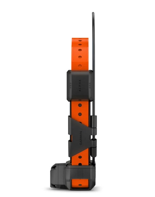 Alpha® TT 25 Dog Collar with Tracking Beeper