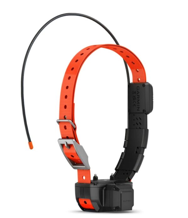 Alpha® TT 25 Dog Collar with Tracking Beeper