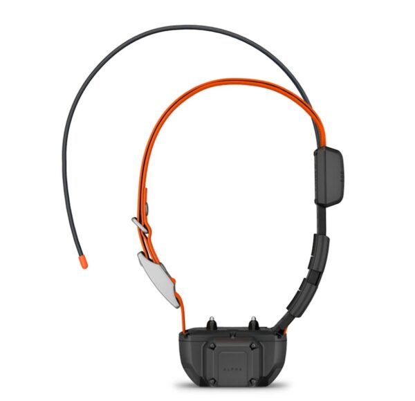 Alpha® TT 25 Dog Collar with Tracking Beeper