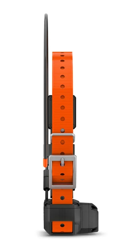 Alpha® TT 25 Dog Collar with Tracking Beeper