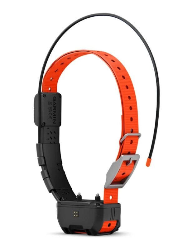 Alpha® TT 25 Dog Collar with Tracking Beeper