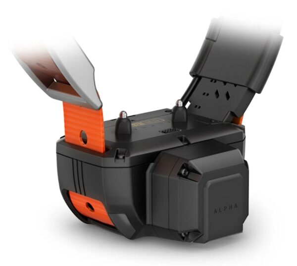 Alpha® TT 25 Dog Collar with Tracking Beeper